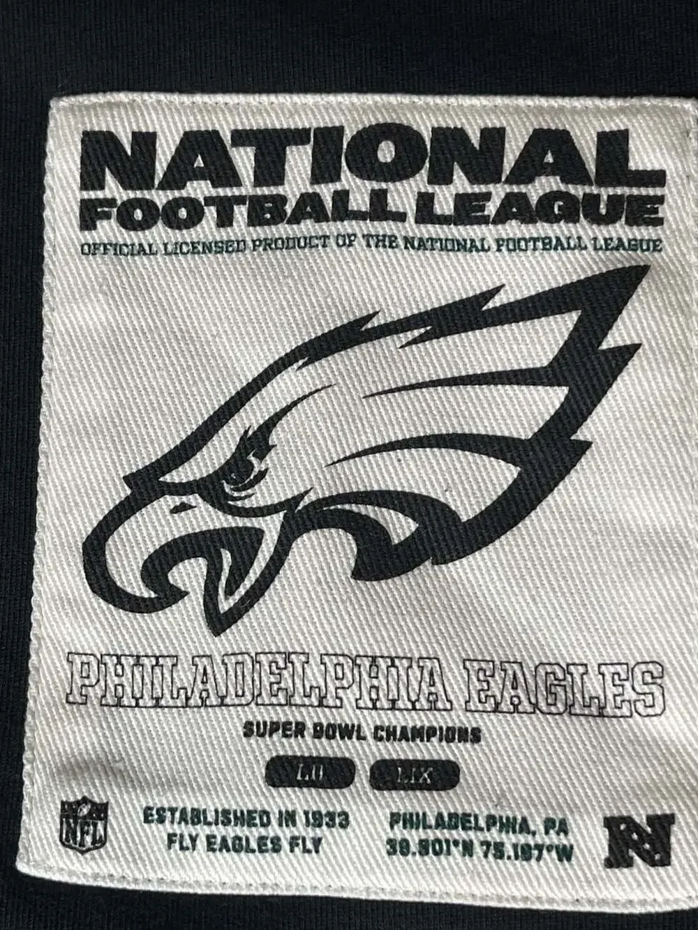 Unisex Black Philadelphia Eagles Fleece Sweatshirt